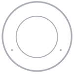 Branching Out Logo